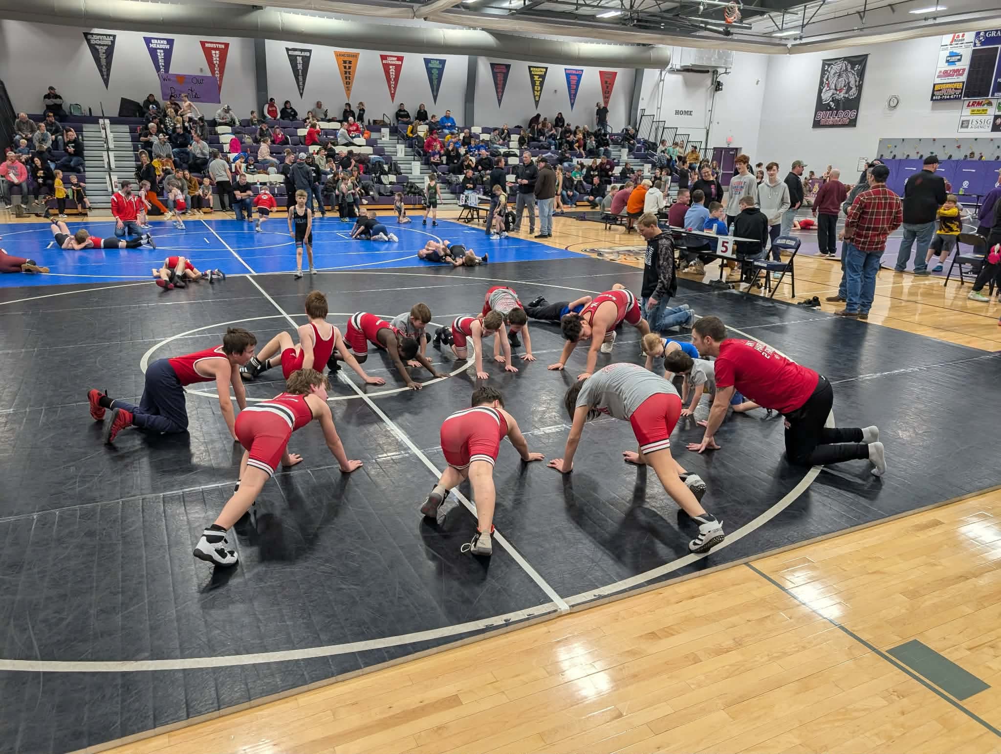Wrestling action